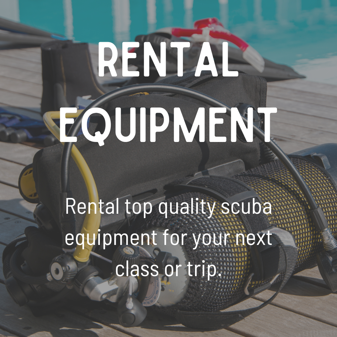 Scuba Diving Classes, Equipment & Travel in Dallas, TX since 1972 Dive West